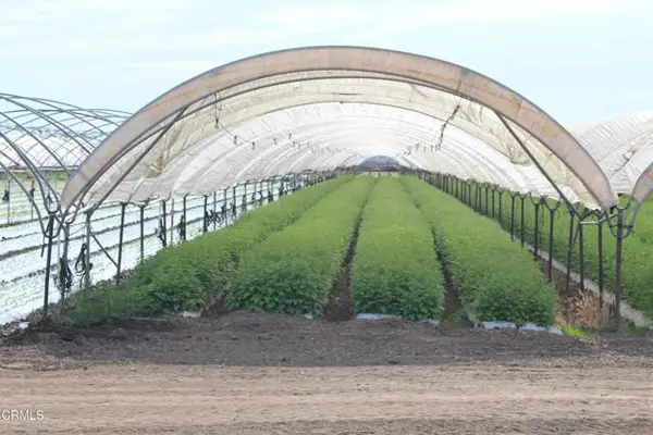 0 Wood Road, Oxnard, CA 93033