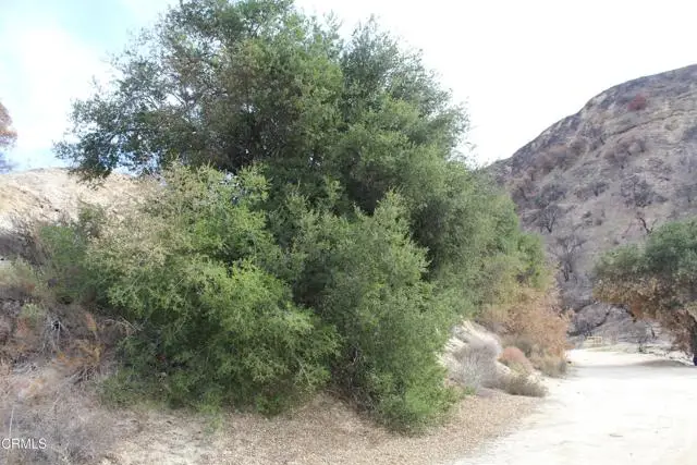 31029 Hasley Canyon Road, Castaic, CA 91384 - Image #1