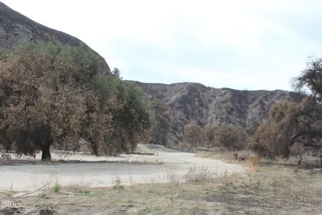 31029 Hasley Canyon Road, Castaic, CA 91384 - Image #2