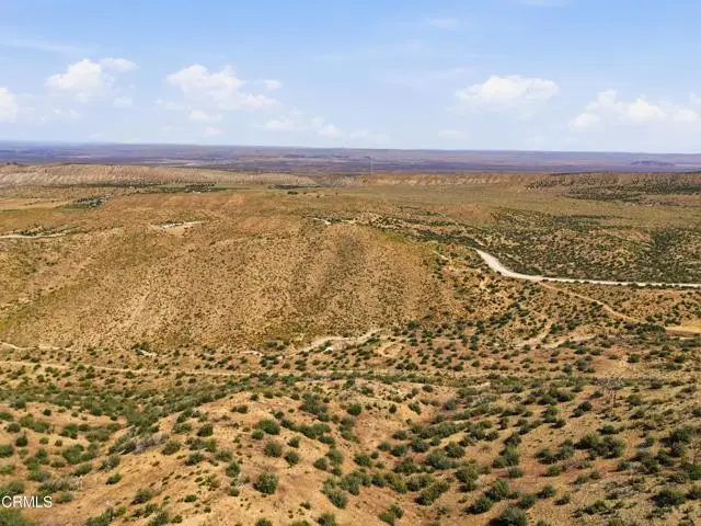 Big Pines, Llano, CA 93544 - #2