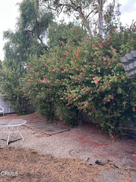 62 Pansy Place  #62, San Buenaventura Ventura, CA 93004 - #2