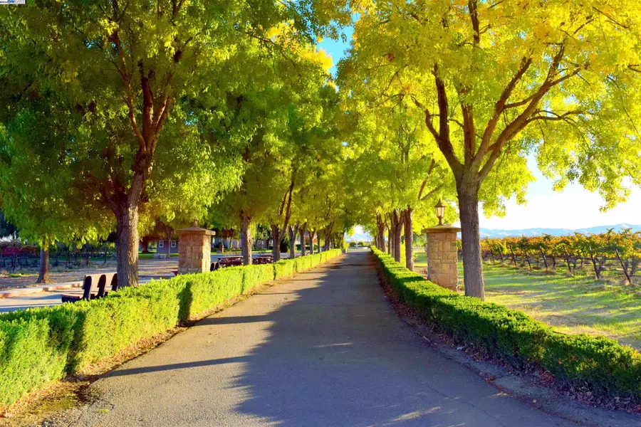 6740 Balfour Rd, Brentwood, CA 94513 - Image #2