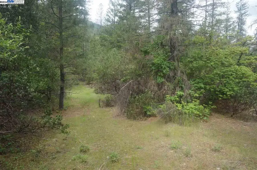 6269 Dutch Creek, Junction City, CA 96048 - Image #2