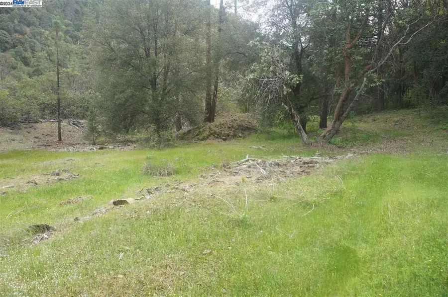 6269 Dutch Creek, Junction City, CA 96048 - Image #3