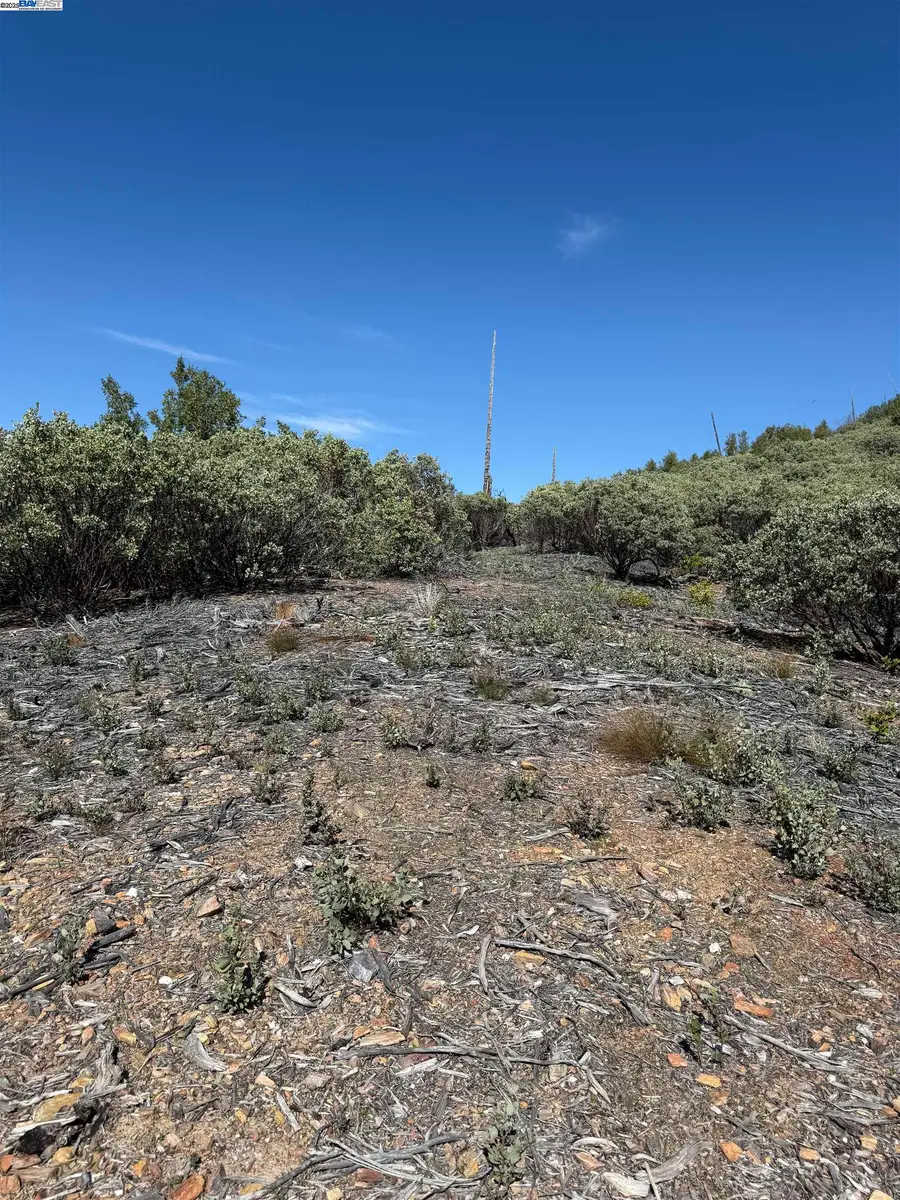 0000 Esmeralda Road, Murphys, CA 95247 - Image #2