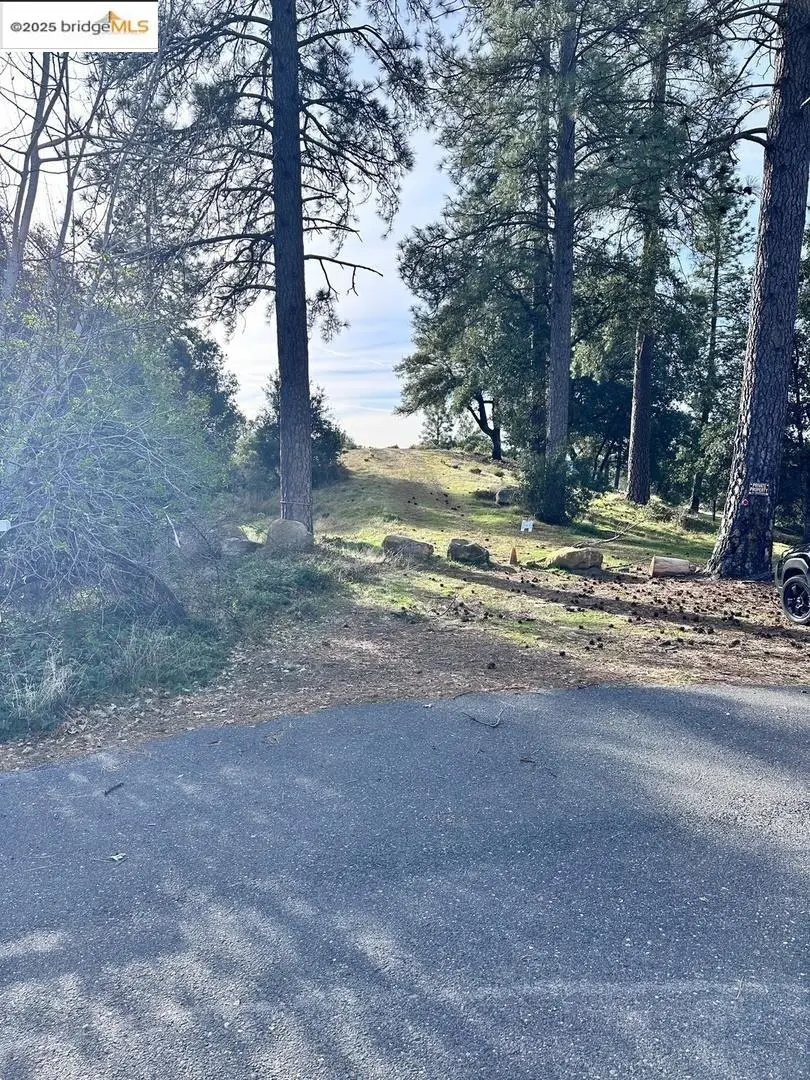 16655 Granite Ridge Ln, Sonora, CA 95370 - #1