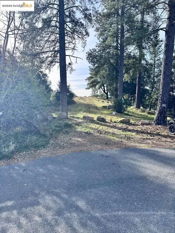 16655 Granite Ridge Ln, Sonora, CA 95370