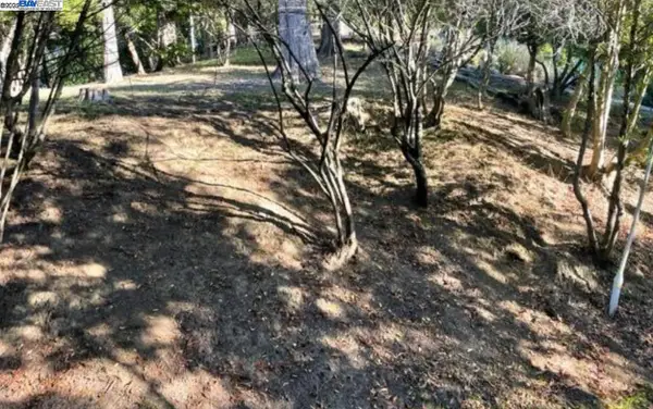 6690 Gunn Dr, Oakland, CA 94611