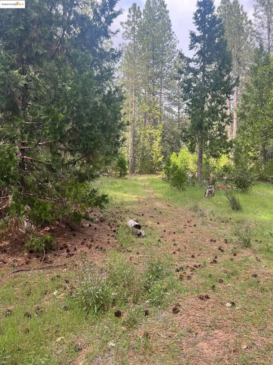 00 Italian Bar Rd, Twain Harte, CA 95383 - Image #3