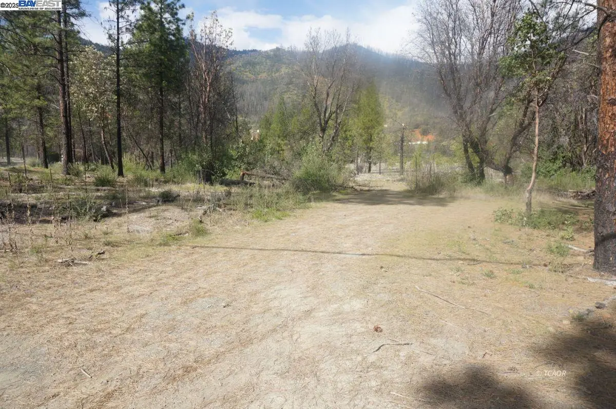 1600 Lake Rd, Junction City, CA 96048 - Image #1