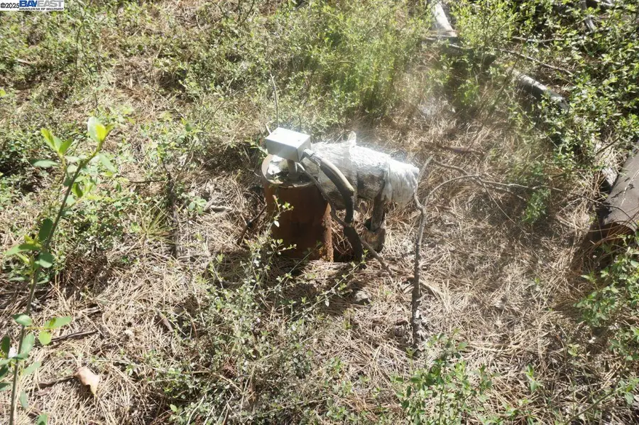 1600 Lake Rd, Junction City, CA 96048 - Image #2