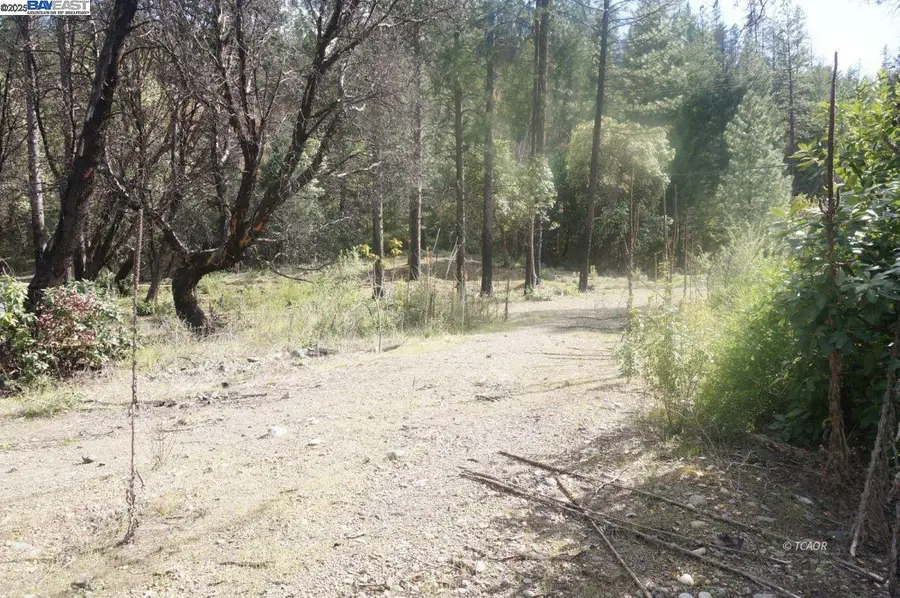 1600 Lake Rd, Junction City, CA 96048 - Image #3