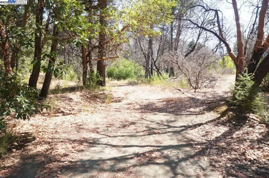 250 Bear Springs, Junction City, CA 96048 - Image #2