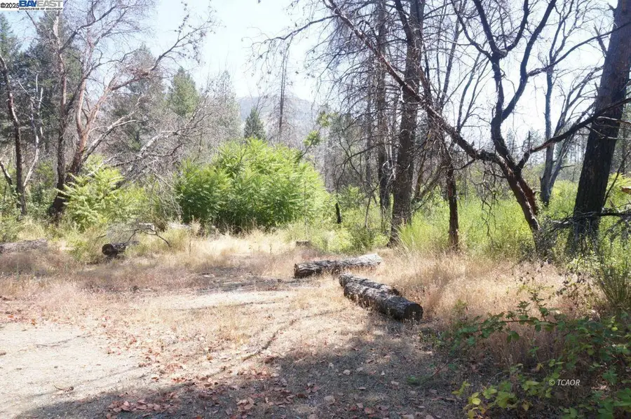 250 Bear Springs, Junction City, CA 96048 - Image #3