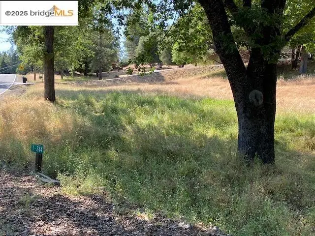 1-244 Pleasant View Dr, Groveland, CA 95321 - Image #3