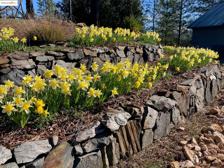 9587 Bondurant Mine Rd., Coulterville, CA 95311 - Image #3