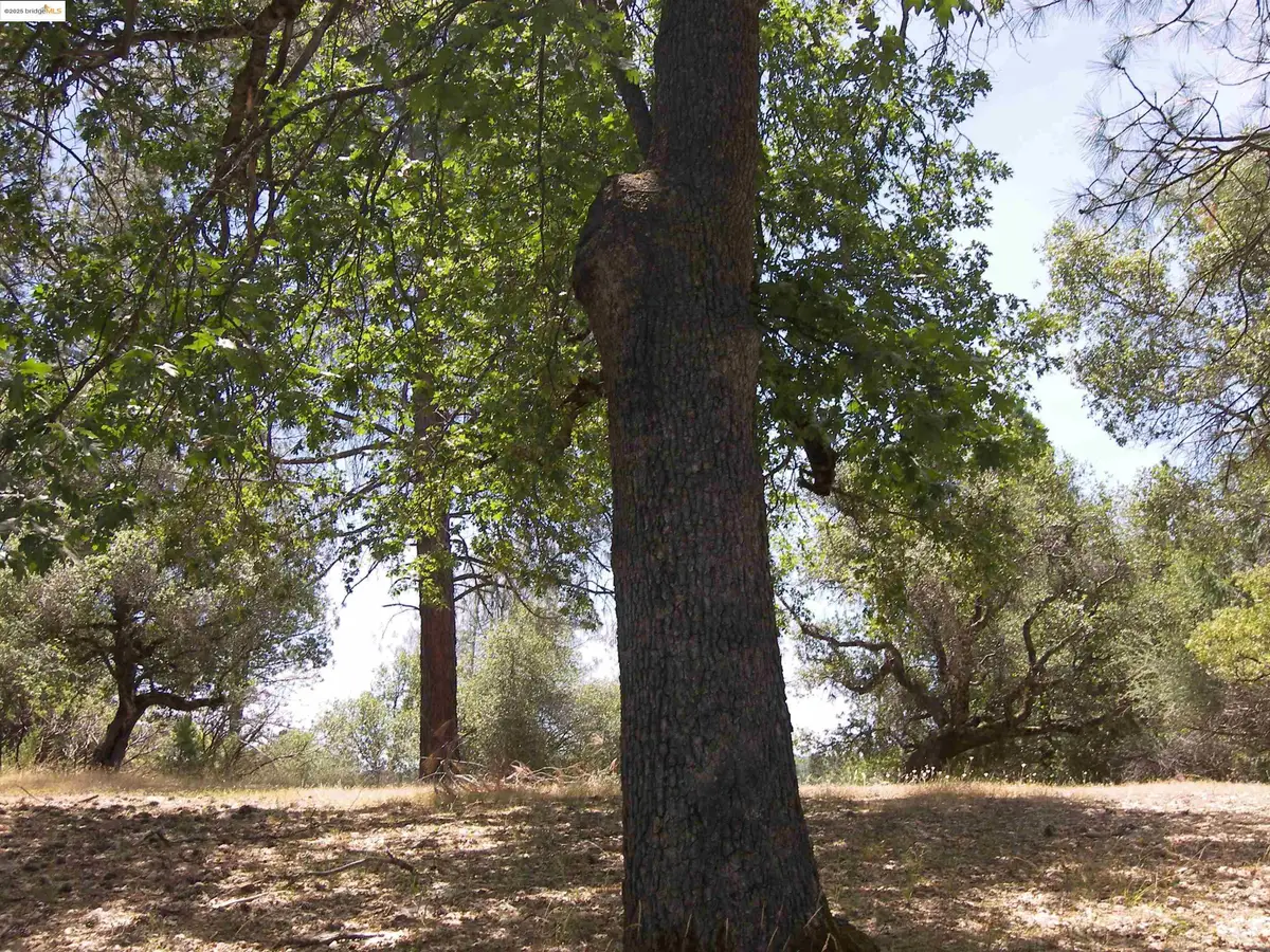 Address Withheld By Seller, Groveland, CA 95321 - Image #1