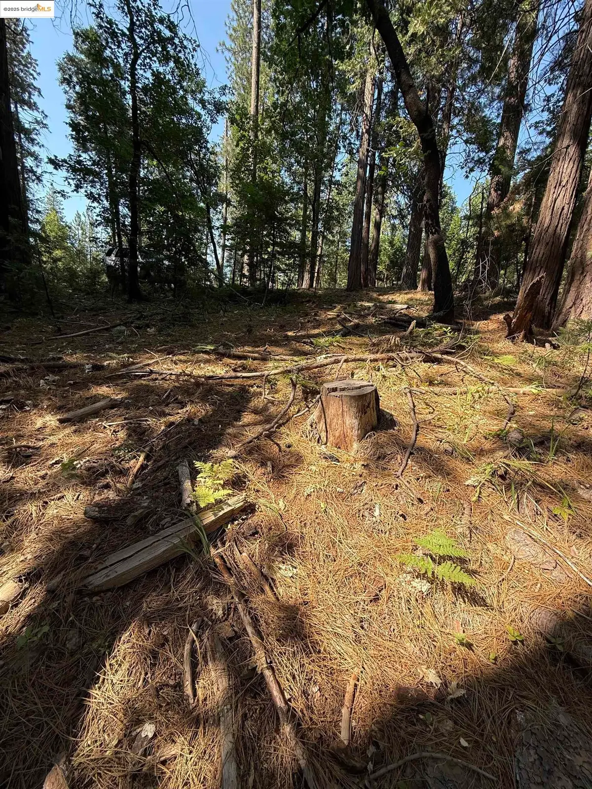 24512 Keltz Mine Rd, Sonora, CA 95370 - Image #1