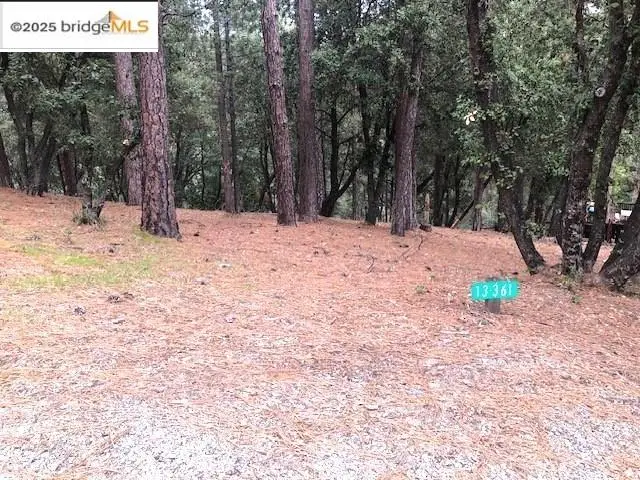 Address Withheld By Seller, Groveland, CA 95321 - Image #1