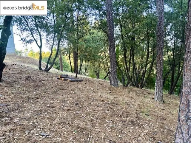 Address Withheld By Seller, Groveland, CA 95321 - Image #3