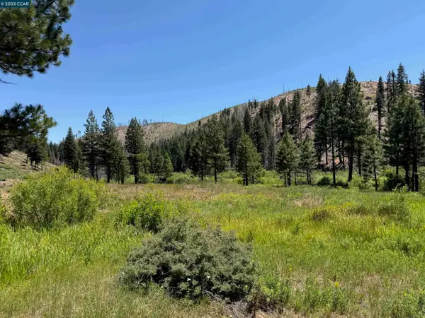 0000 Ohio Valley, Canyon Dam, CA 95923