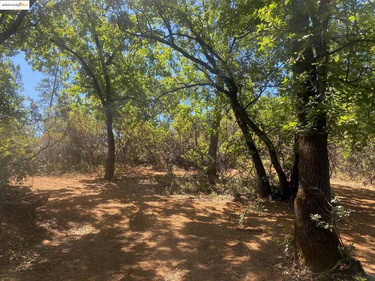 1636 Nickerson, Murphys, CA 95247 - Image #1