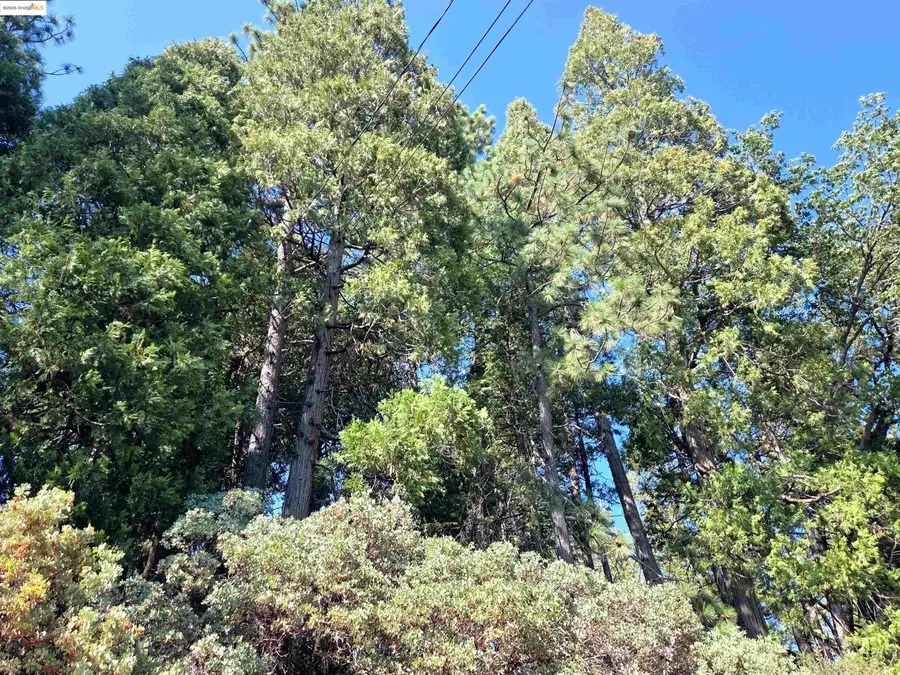 22558 Confidence Road, Twain Harte, CA 95383 - Image #2