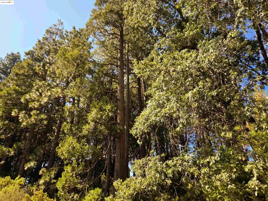 22558 Confidence Road, Twain Harte, CA 95383 - Image #3