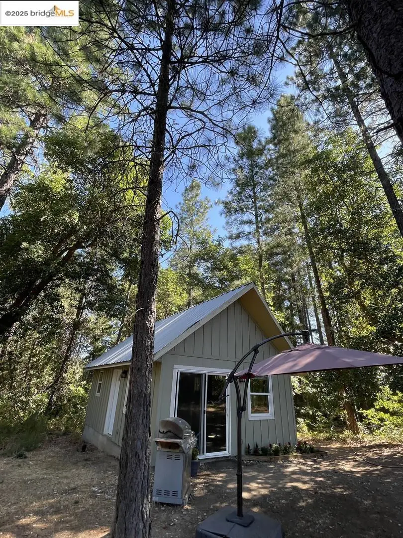 15003 Alleghany Rd, North San Juan, CA 95960 - #3