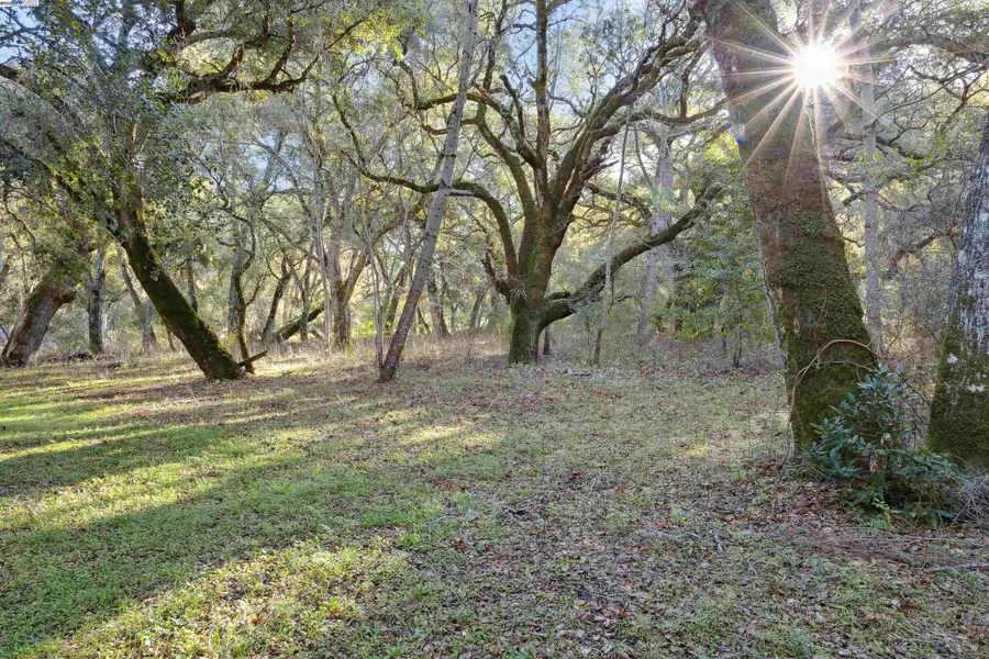 11 Arroyo Sequoia, Carmel, CA 93923 - Image #3