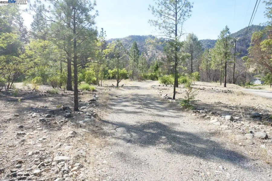 101 River Acres, Junction City, CA 96048 - #2