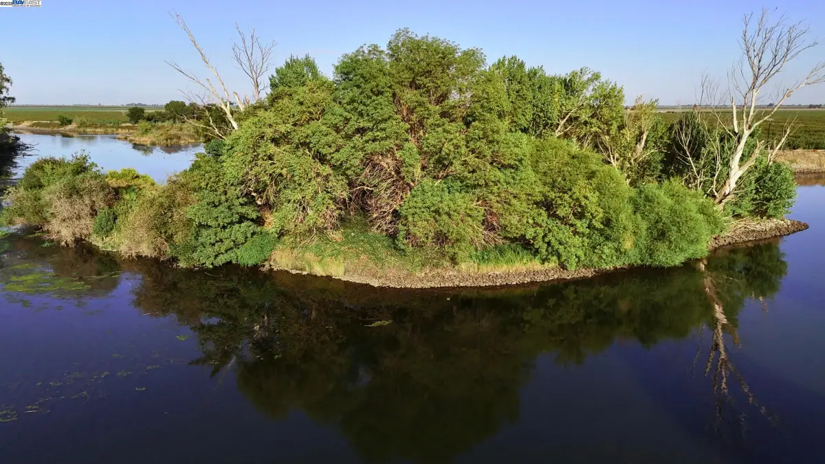 Goldrift Island, Byron, CA 94514 - Image #1