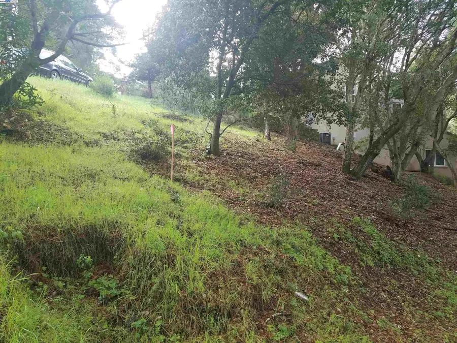 12 Vista Del Orinda, Orinda, CA 94563 - Image #2