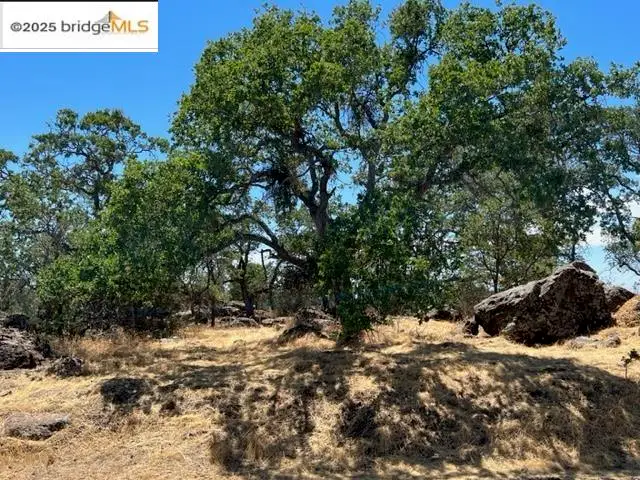 4088 Bartelink, Valley Springs, CA 95252 - Image #2