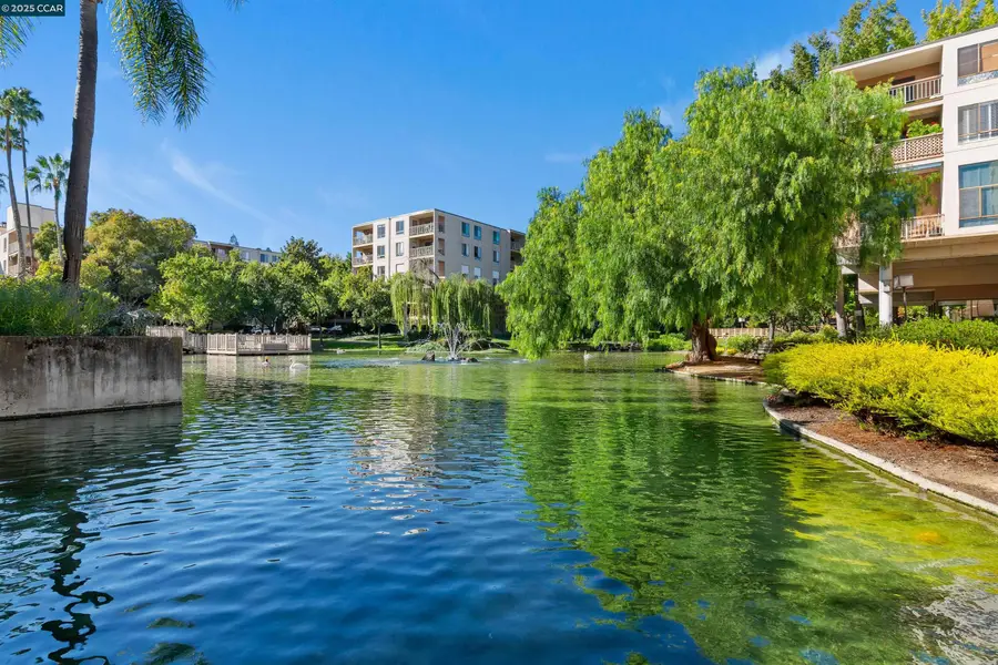 440 N Civic Dr #409, Walnut Creek, CA 94596 - Image #3