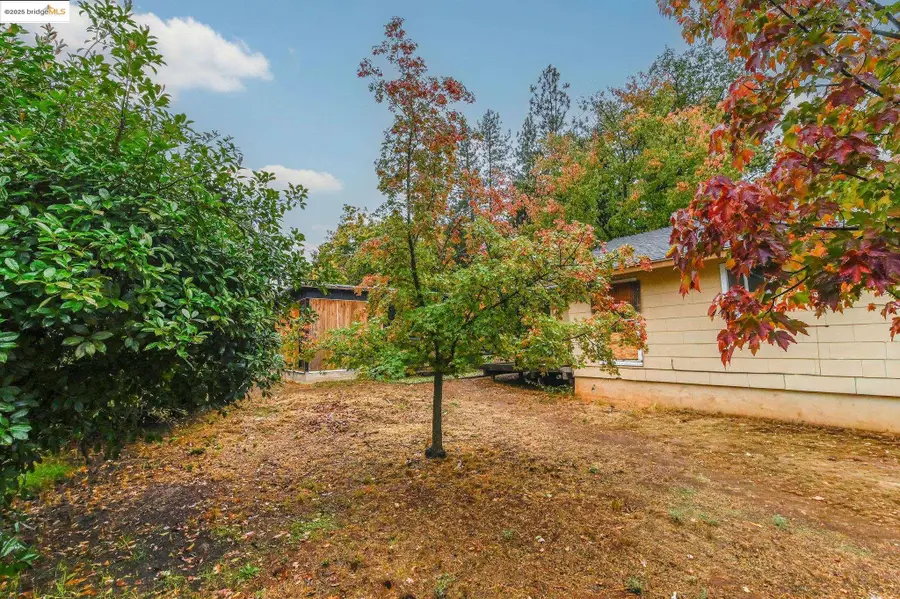 226 Mitchler St, Murphys, CA 95247 - Image #3