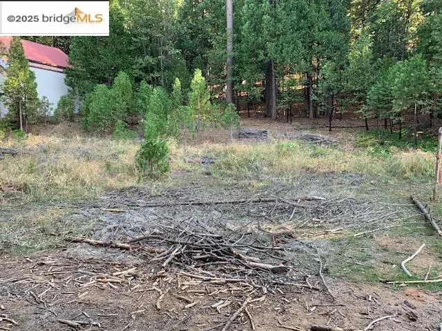 22975 Twain Harte Dr, Twain Harte, CA 95383 - Image #2