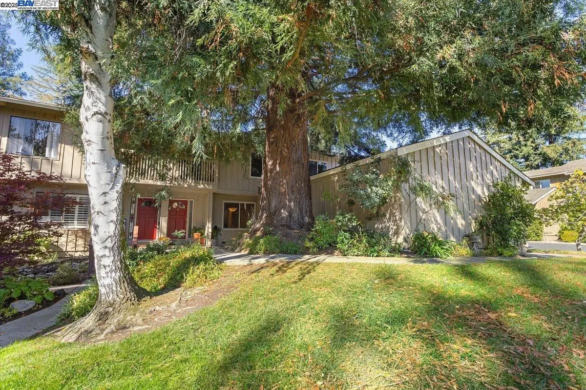 441 Sycamore Hill Dr, Danville, CA 94526 - Image #1