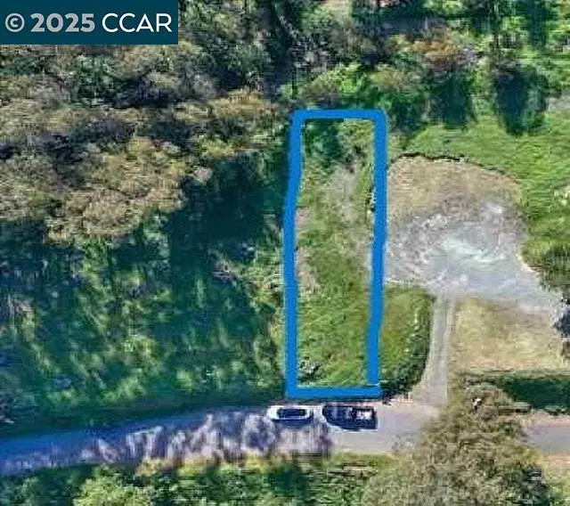 6595 Thorndale Dr, Oakland, CA 94611 - #1