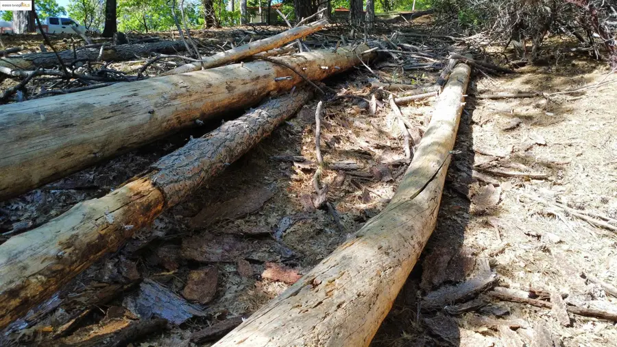 23804 S Oxbow Lane, Sonora, CA 95370 - Image #3