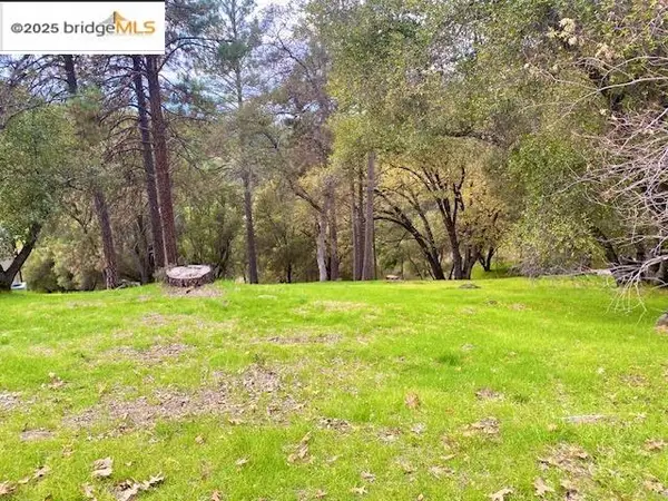 19703 Cottonwood St, Groveland, CA 95321