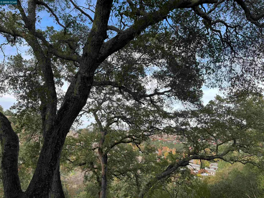 3120 Ptarmigan Dr. #3, Walnut Creek, CA 94595 - Image #3