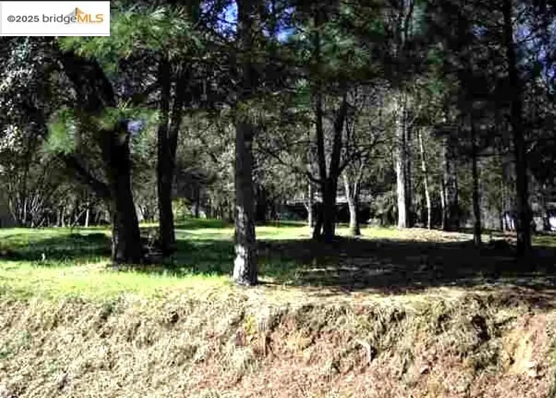 13137 Jackson Mill Dr, Groveland, CA 95321 - #1