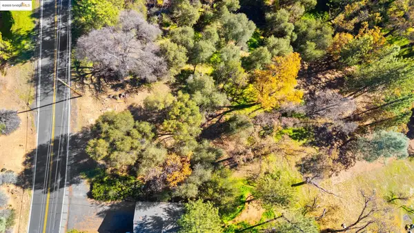 19795 Ferretti Rd, Groveland, CA 95321