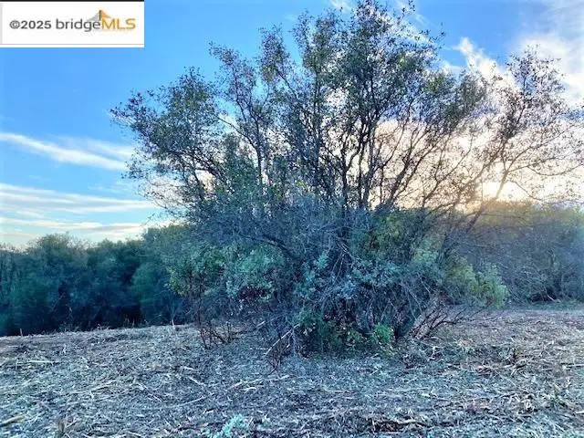 17290 Anderson St & Hwy 120, Groveland, CA 95305 - #3