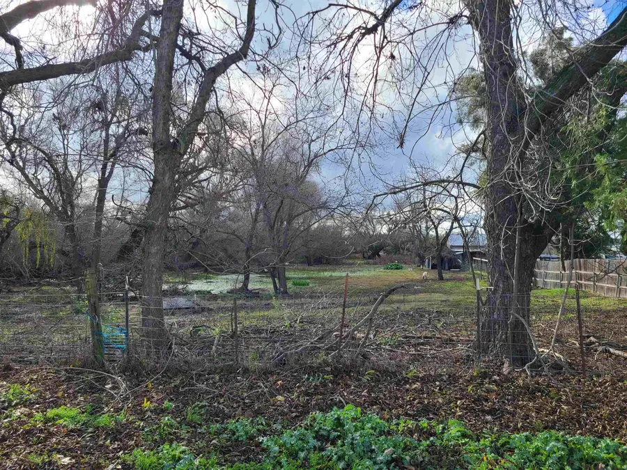 4891 N Stone Road, Bethel Island, CA 94511 - Image #3