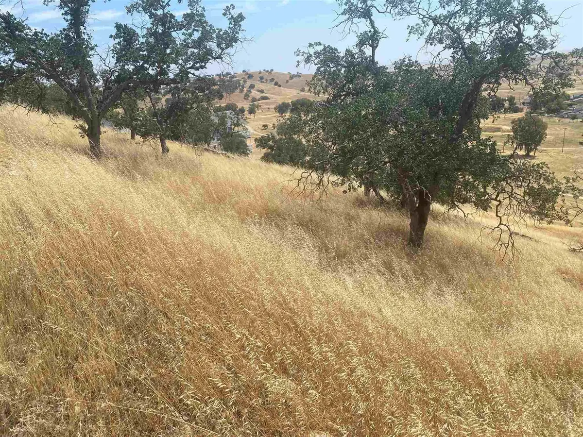 9104 Capullo, La Grange, CA 95329 - #1