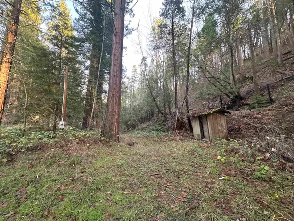 22895 S Fork Rd., Twain Harte, CA 95383