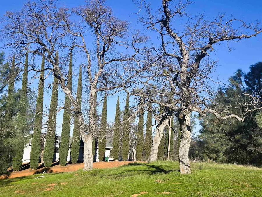 0 Frio Court, La Grange, CA 95329 - Image #3