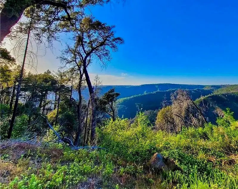 6479 Gregory Lane, Paradise, CA 95969 - Image #2